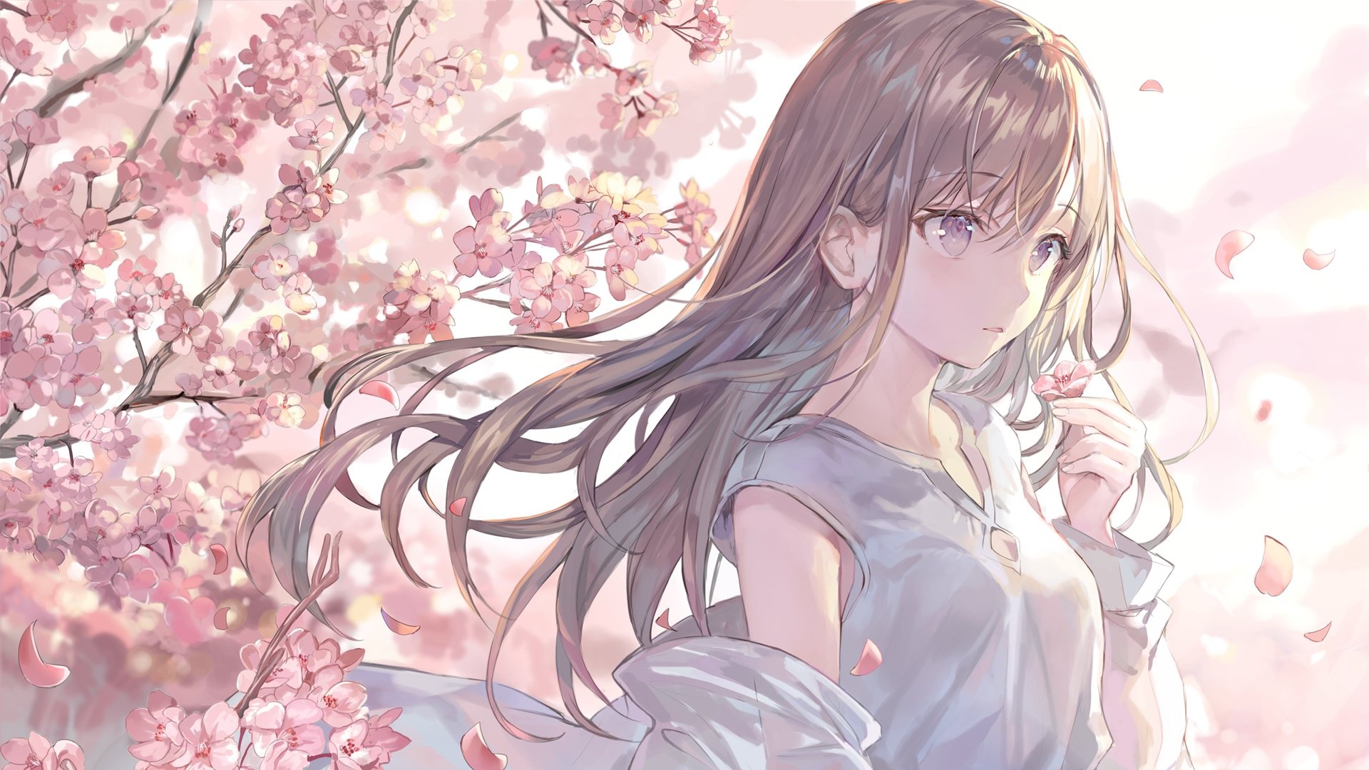 Desktop background image of the blog